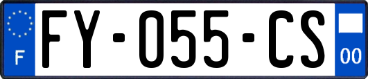 FY-055-CS