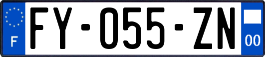 FY-055-ZN