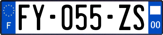 FY-055-ZS