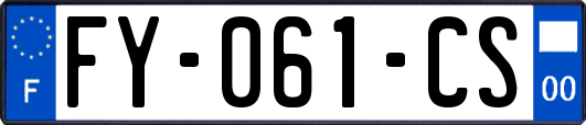 FY-061-CS