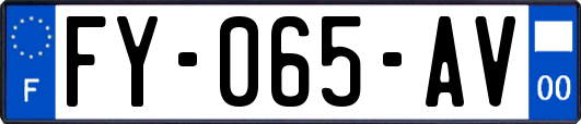 FY-065-AV