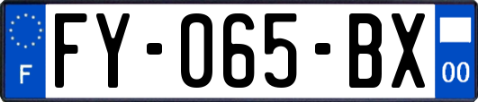 FY-065-BX