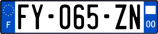 FY-065-ZN