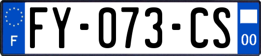 FY-073-CS