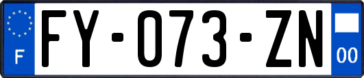 FY-073-ZN