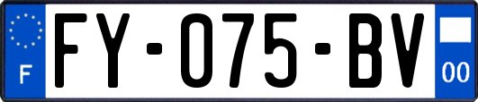 FY-075-BV