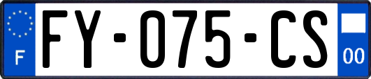 FY-075-CS
