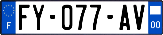 FY-077-AV