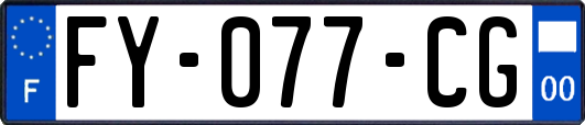 FY-077-CG
