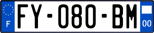 FY-080-BM