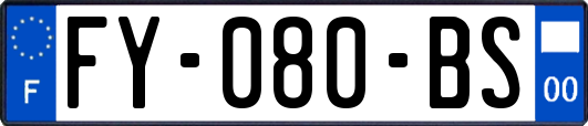 FY-080-BS