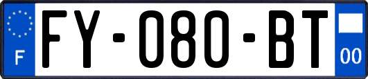 FY-080-BT