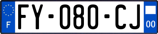 FY-080-CJ