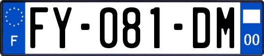 FY-081-DM