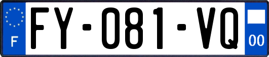 FY-081-VQ
