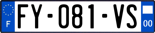 FY-081-VS