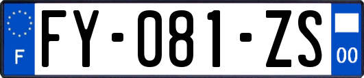 FY-081-ZS