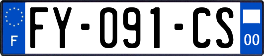 FY-091-CS