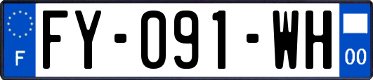 FY-091-WH
