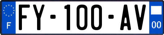 FY-100-AV