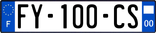 FY-100-CS
