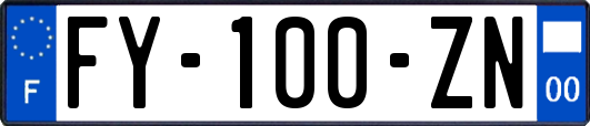FY-100-ZN