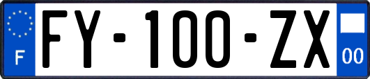 FY-100-ZX