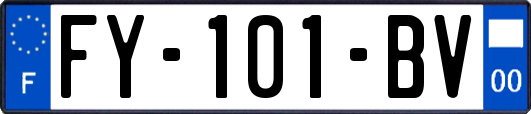 FY-101-BV