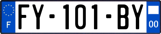 FY-101-BY