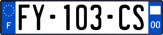 FY-103-CS