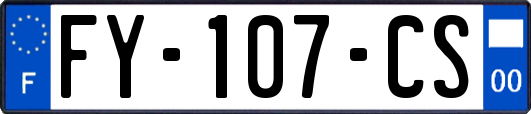 FY-107-CS