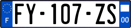 FY-107-ZS