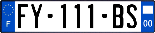 FY-111-BS