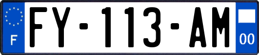 FY-113-AM