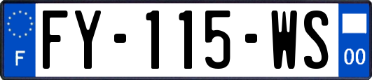 FY-115-WS
