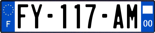 FY-117-AM