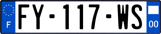 FY-117-WS