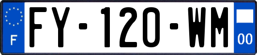 FY-120-WM