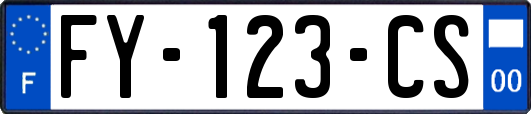 FY-123-CS