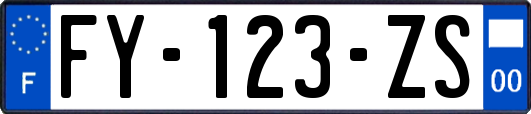 FY-123-ZS