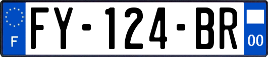 FY-124-BR