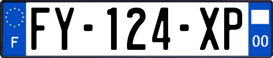 FY-124-XP