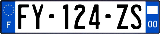 FY-124-ZS