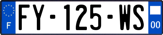 FY-125-WS