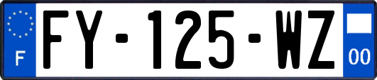 FY-125-WZ