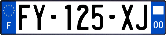 FY-125-XJ