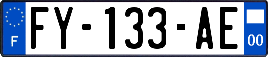 FY-133-AE