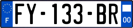 FY-133-BR