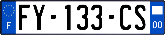 FY-133-CS