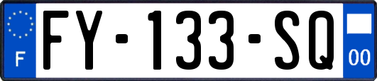 FY-133-SQ